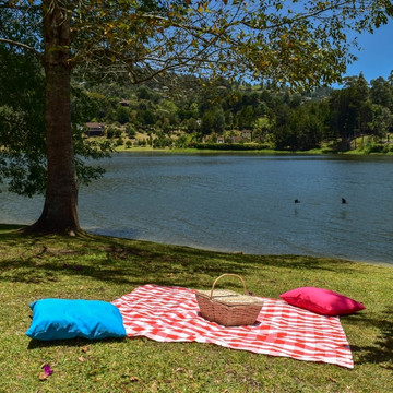 Picnic Parque Ecológico Los Saldados
